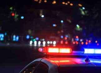 Arrests Made in Connection with Death of Napier Homeless Man arrests-made-in-connection-with-death-of-napier-homeless-man