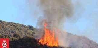 Auckland Firefighters Successfully Contain Local Scrub Fire auckland-firefighters-successfully-contain-local-scrub-fire
