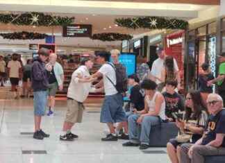 Christmas Shopping Frenzy: Auckland Malls Packed with Shoppers christmas-shopping-frenzy-auckland-malls-packed-with-shoppers
