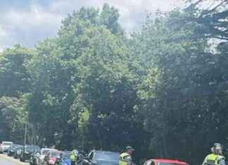 Coromandel Police Conduct 900 Breath Tests in a Single Day coromandel-police-conduct-900-breath-tests-in-a-single-day