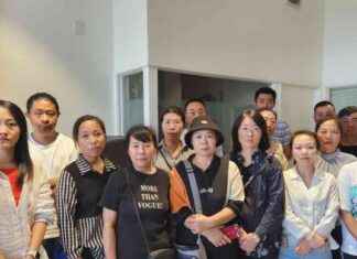 Demand for Open Work Visas by Former Prolink NZ Workers demand-for-open-work-visas-by-former-prolink-nz-workers