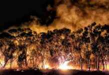Disaster Relief Payment Available for Victorians Affected by Grampians Bushfire disaster-relief-payment-available-for-victorians-affected-by-grampians-bushfire