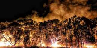 Disaster Relief Payment Available for Victorians Affected by Grampians Bushfire disaster-relief-payment-available-for-victorians-affected-by-grampians-bushfire