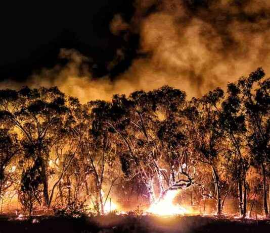 Disaster Relief Payment Available for Victorians Affected by Grampians Bushfire disaster-relief-payment-available-for-victorians-affected-by-grampians-bushfire