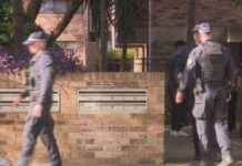 Elderly Man Stabbed, Suspect Arrested: 82-Year-Old in Critical Condition elderly-man-stabbed-suspect-arrested-82-year-old-in-critical-condition