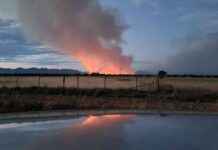 Emergency Warning: Victorian Bushfire Reaches Critical Level emergency-warning-victorian-bushfire-reaches-critical-level