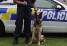 Enhanced Police Powers in Gang Investigations Following Woman’s Death enhanced-police-powers-in-gang-nvestigations-following-womans-death