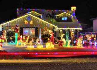 Exciting Festive Events in East Auckland: Your Ultimate Guide exciting-festive-events-in-east-auckland-your-ultimate-guide