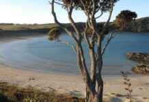 Exploring Northland: Popular Holiday Hotspots Overflowing with Campers exploring-northland-popular-holiday-hotspots-overflowing-with-campers