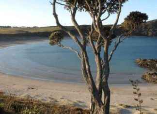 Exploring Northland: Popular Holiday Hotspots Overflowing with Campers exploring-northland-popular-holiday-hotspots-overflowing-with-campers