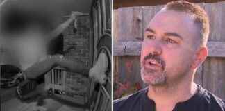 Family Followed After Altercation While Viewing Christmas Lights family-followed-after-altercation-while-viewing-christmas-lights