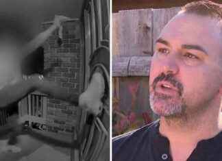 Family Followed After Altercation While Viewing Christmas Lights family-followed-after-altercation-while-viewing-christmas-lights