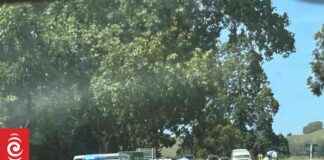 Fatal Car Crash on State Highway 1 near Mangaweka: Two Dead fatal-car-crash-on-state-highway-1-near-mangaweka-two-dead