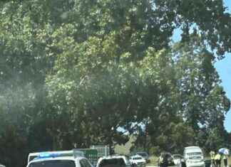 Fatal Car Crash on State Highway 1 near Mangaweka: Two Dead fatal-car-crash-on-state-highway-1-near-mangaweka-two-dead