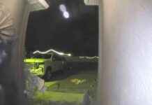 Heartwarming Video: Missing Dog Returns Home and Rings Doorbell heartwarming-video-missing-dog-returns-home-and-rings-doorbell