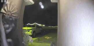 Heartwarming Video: Missing Dog Returns Home and Rings Doorbell heartwarming-video-missing-dog-returns-home-and-rings-doorbell