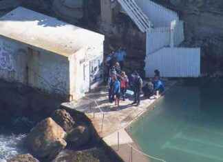 Man injured jumping from cliff into pool at Sydney beach: Safety precautions to prevent accidents man-injured-jumping-from-cliff-into-pool-at-sydney-beach-safety-precautions-to-prevent-accidents