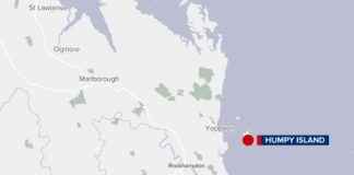 Man Seriously Injured in Queensland Shark Attack man-seriously-njured-in-queensland-shark-attack