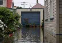 Man with Disability Still Living in Motel Months After Dunedin Floods man-with-disability-still-living-in-motel-months-after-dunedin-floods
