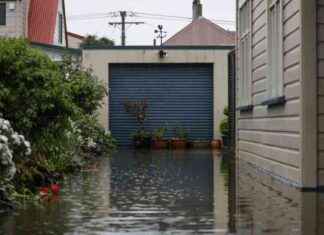 Man with Disability Still Living in Motel Months After Dunedin Floods man-with-disability-still-living-in-motel-months-after-dunedin-floods