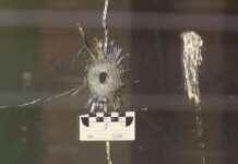 Manhunt underway for suspects who shot at family home while children slept manhunt-underway-for-suspects-who-shot-at-family-home-while-children-slept