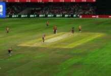 Improving Docklands Surface for Big Bash Matches mproving-docklands-surface-for-big-bash-matches