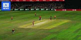 Improving Docklands Surface for Big Bash Matches mproving-docklands-surface-for-big-bash-matches