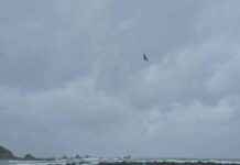 Navigating the Cook Strait Storm: How to Ease Ferry Passenger Anxiety navigating-the-cook-strait-storm-how-to-ease-ferry-passenger-anxiety