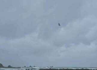 Navigating the Cook Strait Storm: How to Ease Ferry Passenger Anxiety navigating-the-cook-strait-storm-how-to-ease-ferry-passenger-anxiety