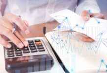 New Title: NZ Report Card 2024: Ranking Analysis of Global and Domestic Performance new-title-nz-report-card-2024-ranking-analysis-of-global-and-domestic-performance