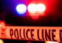 Nurse Stabbed in Rotorua: Response to Patient Callout nurse-stabbed-in-rotorua-response-to-patient-callout