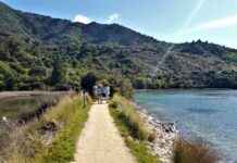 Investigation underway into vandalism of pou whenua on Abel Tasman Coast Track nvestigation-underway-into-vandalism-of-pou-whenua-on-abel-tasman-coast-track