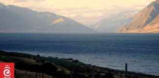 Investigations Launched in Response to PETA Cruelty Allegations nvestigations-launched-in-response-to-peta-cruelty-allegations