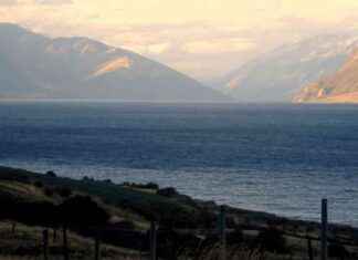 Investigations Launched in Response to PETA Cruelty Allegations nvestigations-launched-in-response-to-peta-cruelty-allegations