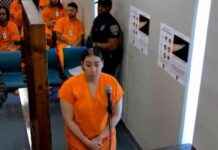 Pizza delivery woman in US stabs customer over poor tip pizza-delivery-woman-in-us-stabs-customer-over-poor-tip