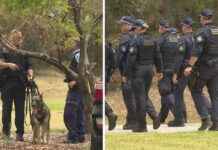 Police Arrest Three Individuals in Sydney Pursuit police-arrest-three-ndividuals-in-sydney-pursuit