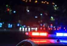 Police officers injured in Nelson car-ramming: What we know police-officers-injured-in-nelson-car-ramming-what-we-know