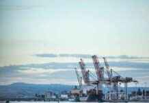 Police seize $75m meth haul at Port of Tauranga police-seize-75m-meth-haul-at-port-of-tauranga