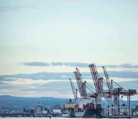 Police seize $75m meth haul at Port of Tauranga police-seize-75m-meth-haul-at-port-of-tauranga
