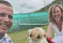 Remembering Youth Pastor Killed in Gentle Soul Shark Attack remembering-youth-pastor-killed-in-gentle-soul-shark-attack