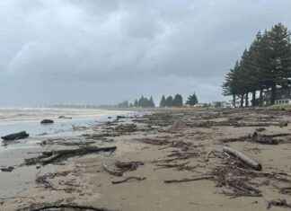 Restoring Gisborne Beaches After Heavy Rain: A Cleanup Effort restoring-gisborne-beaches-after-heavy-rain-a-cleanup-effort