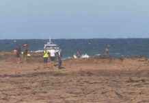 Search Intensifies for Boy Swept Off Rocks on NSW Central Coast Beach search-ntensifies-for-boy-swept-off-rocks-on-nsw-central-coast-beach