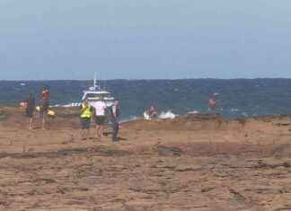 Search Intensifies for Boy Swept Off Rocks on NSW Central Coast Beach search-ntensifies-for-boy-swept-off-rocks-on-nsw-central-coast-beach