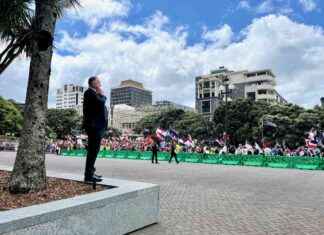 Shane Jones Calls for Coal in His Stocking: The Controversial Christmas Wish shane-jones-calls-for-coal-in-his-stocking-the-controversial-christmas-wish