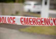 State Highway 2 Closed at Waikino Due to Crash: Traffic Update and Road Closure Information state-highway-2-closed-at-waikino-due-to-crash-traffic-update-and-road-closure-nformation