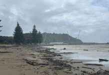 Stay Safe at Rhythm and Vines Festival: Avoid Waterways and Beaches stay-safe-at-rhythm-and-vines-festival-avoid-waterways-and-beaches