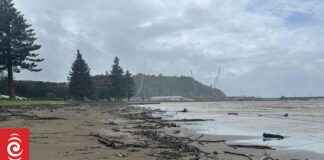 Stay Safe at Rhythm and Vines Festival: Avoid Waterways and Beaches stay-safe-at-rhythm-and-vines-festival-avoid-waterways-and-beaches