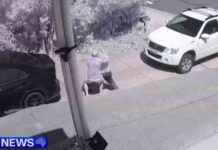 Sydney Man Charged with Murdering Neighbor in Tree Dispute sydney-man-charged-with-murdering-neighbor-in-tree-dispute