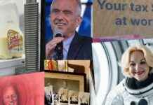 Top Odd News Stories Covered by RNZ in 2024 top-odd-news-stories-covered-by-rnz-in-2024