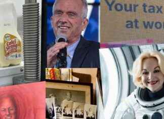 Top Odd News Stories Covered by RNZ in 2024 top-odd-news-stories-covered-by-rnz-in-2024